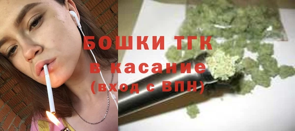 дмт Касимов
