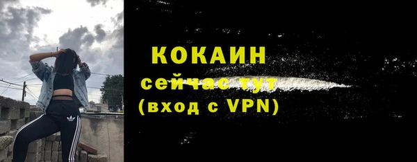дмт Касимов