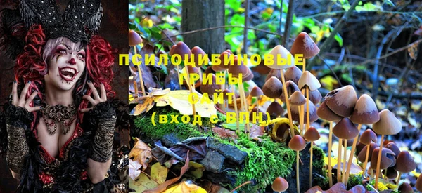 метадон Каменск-Шахтинский