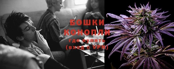 дмт Касимов
